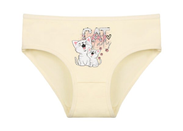 Apatinės kelnaitės