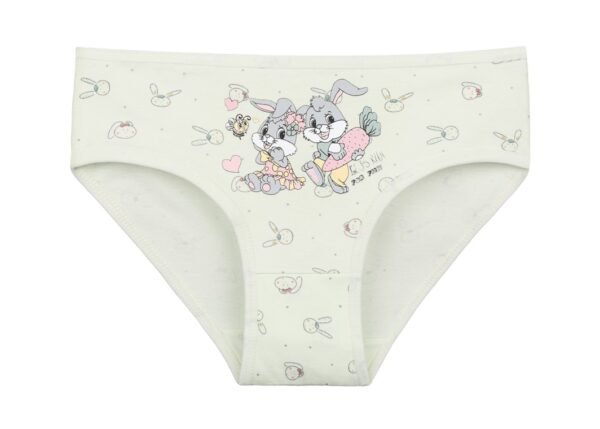 Apatinis trikotažas